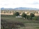 145 Kamilaroi Road, Gunnedah NSW 2380