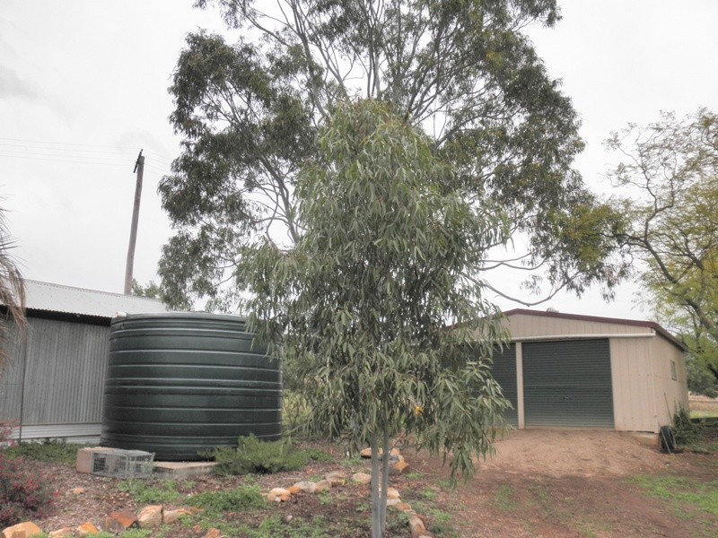 773 Preston Road, Gunnedah NSW 2380