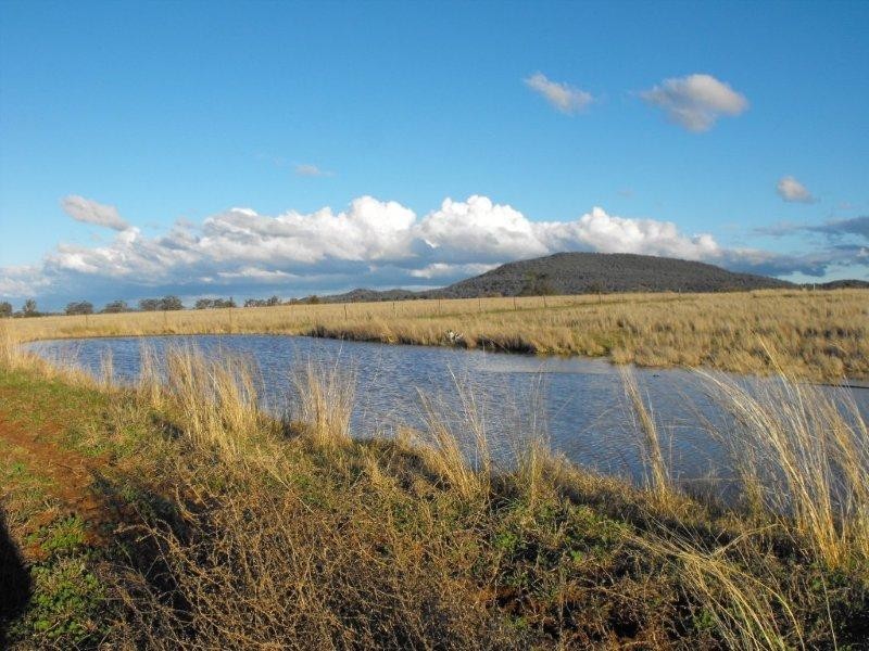 773 Preston Road, Gunnedah NSW 2380