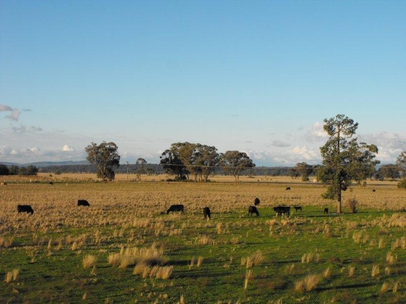 773 Preston Road, Gunnedah NSW 2380