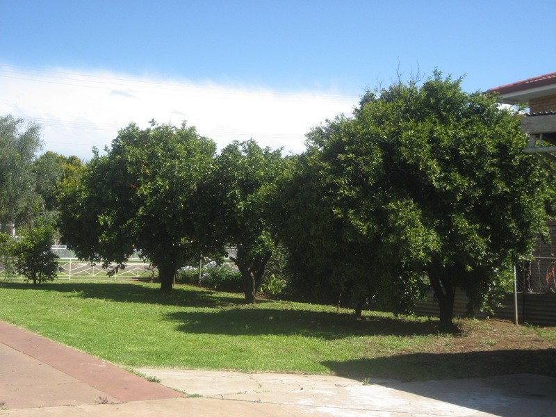 124 George Street, Gunnedah NSW 2380