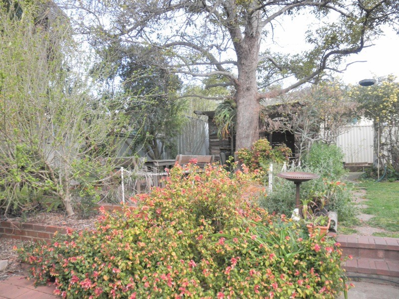 45 Fairview Street, Gunnedah NSW 2380