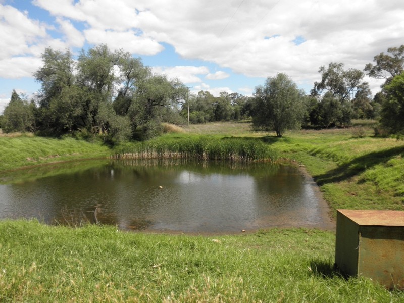 136 Hunts Road, Gunnedah NSW 2380