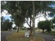 17 Carroll Street, Gunnedah NSW 2380