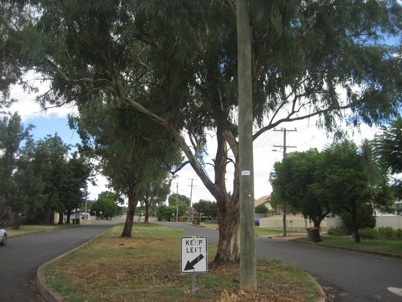 17 Carroll Street, Gunnedah NSW 2380
