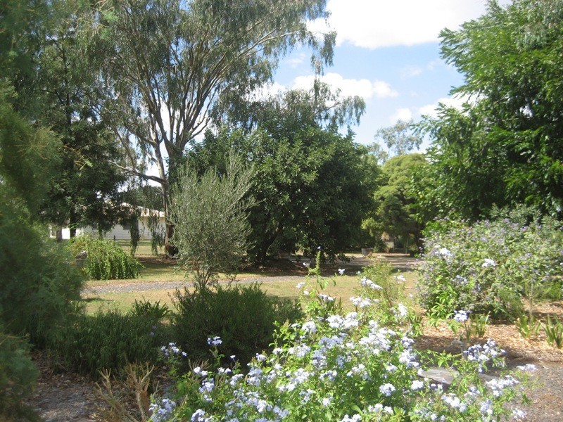 32 Pine Street, Curlewis NSW 2381