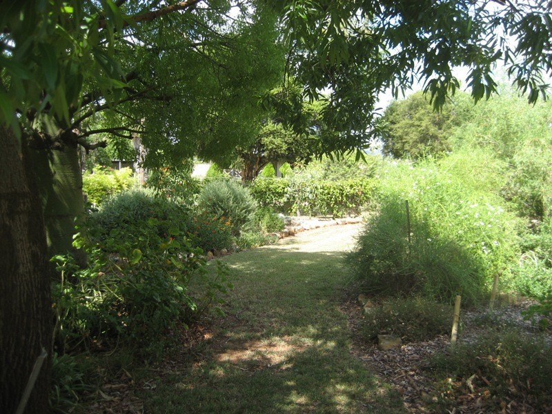 32 Pine Street, Curlewis NSW 2381