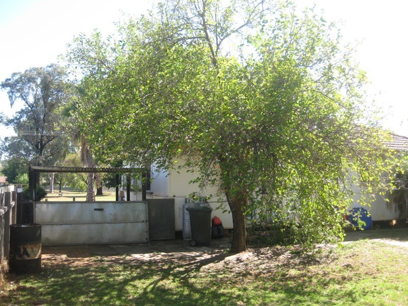 38 High Street, Gunnedah NSW 2380