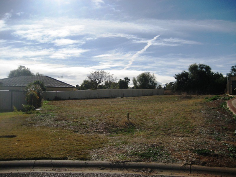 3 Mitchell Place, Gunnedah NSW 2380