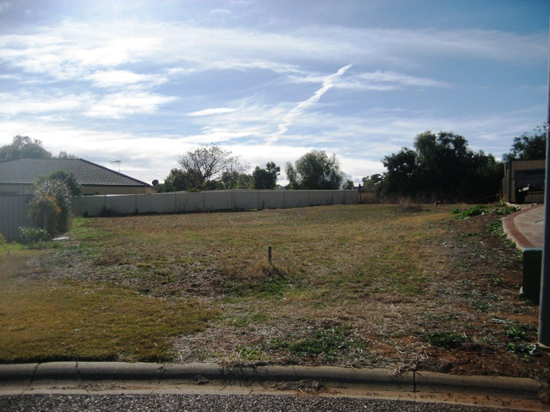 3 Mitchell Place, Gunnedah NSW 2380