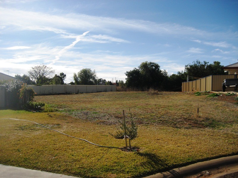 3 Mitchell Place, Gunnedah NSW 2380