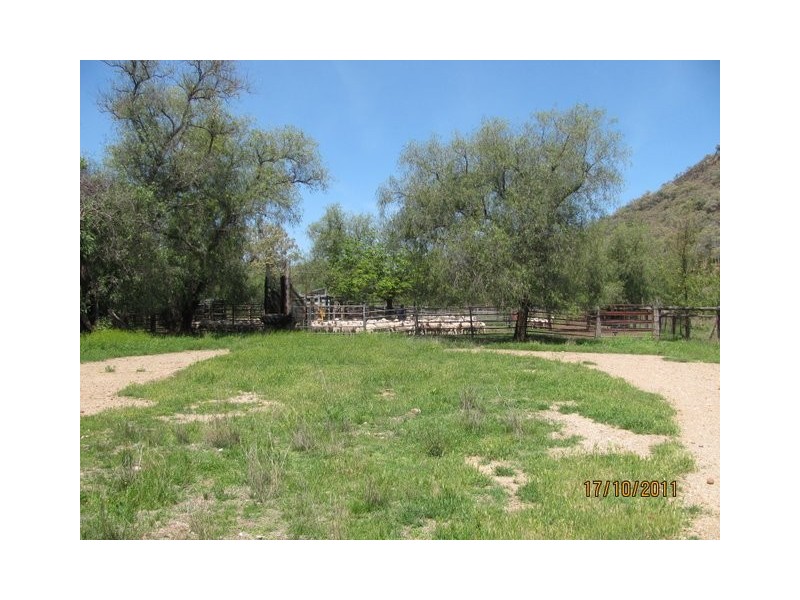 * “Glen Bulga”, Mullaley NSW 2379