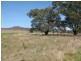 * “Glen Bulga”, Mullaley NSW 2379
