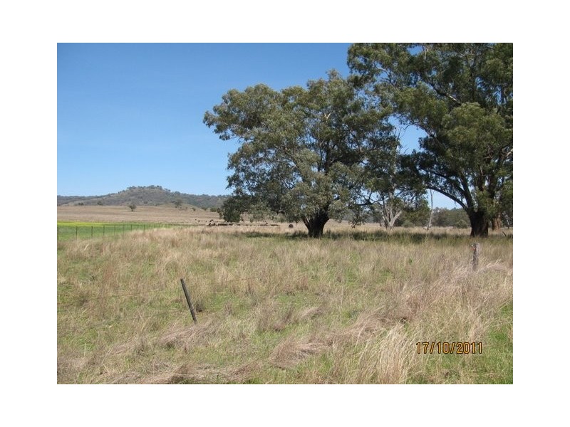 * “Glen Bulga”, Mullaley NSW 2379
