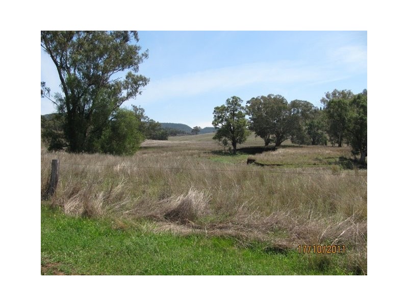 * “Glen Bulga”, Mullaley NSW 2379