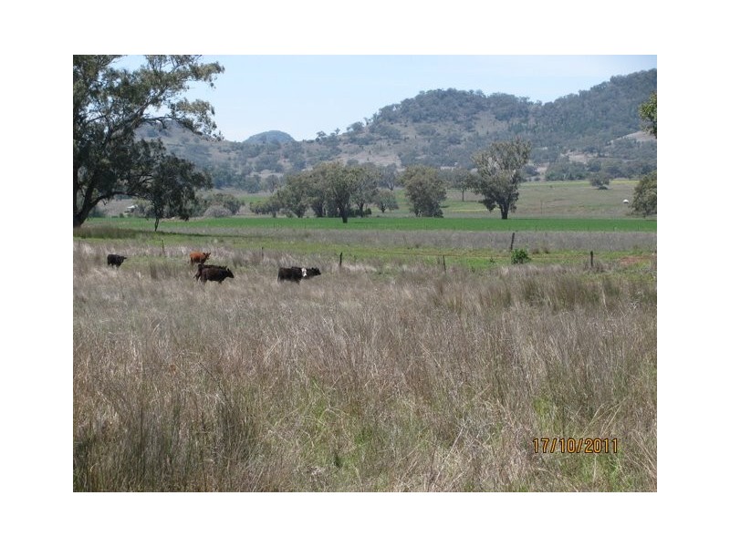 * “Glen Bulga”, Mullaley NSW 2379