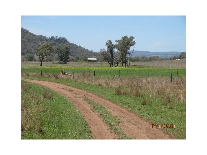 * “Glen Bulga”, Mullaley NSW 2379