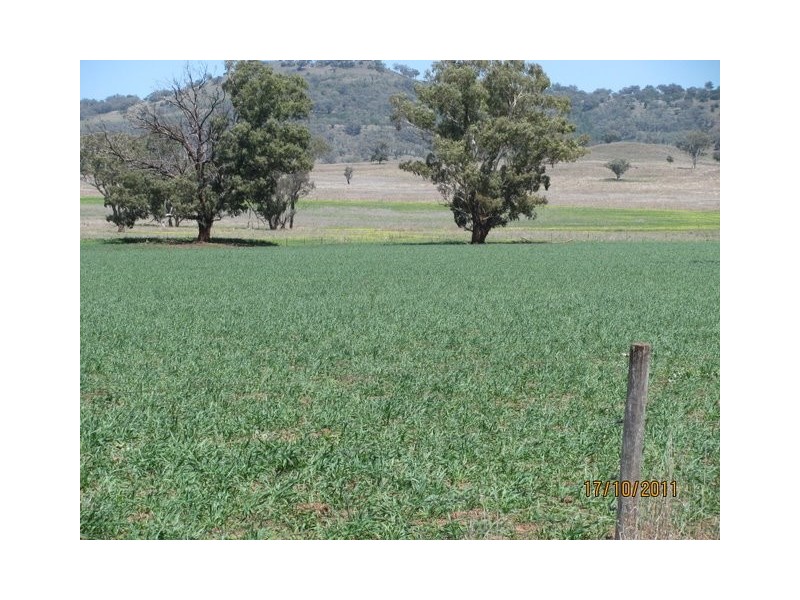 * “Glen Bulga”, Mullaley NSW 2379