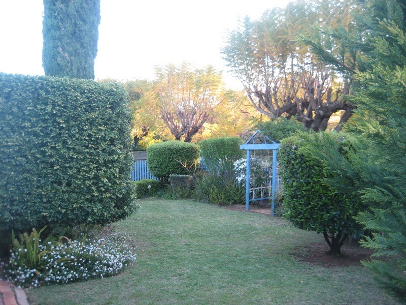 16 Porcupine Street, Gunnedah NSW 2380