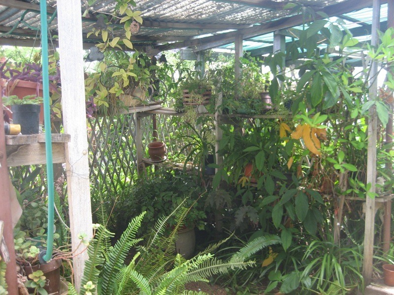 56 Edward Street, Gunnedah NSW 2380