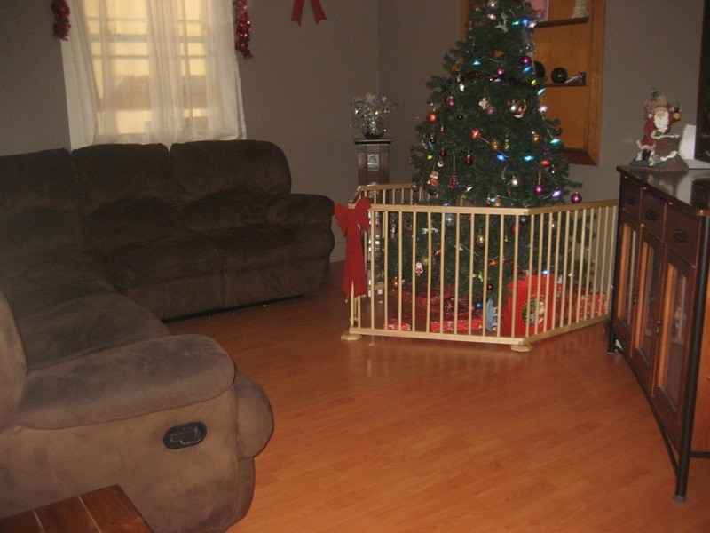 59 Abbott Street, Gunnedah NSW 2380