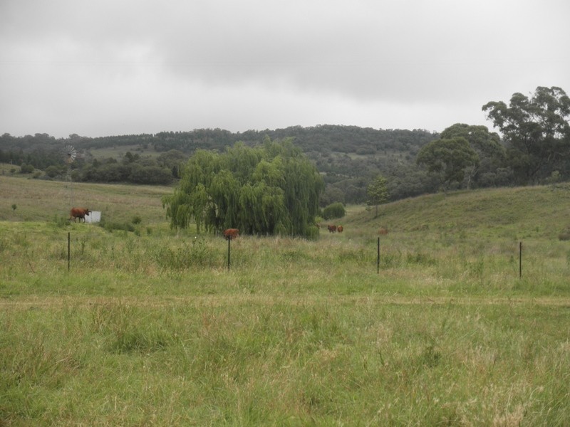 ” Moolagundi, Mullaley NSW 2379