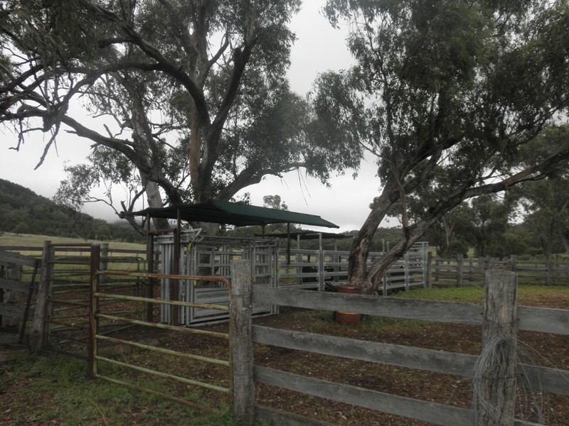 ” Moolagundi, Mullaley NSW 2379