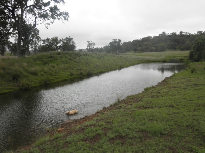 ” Moolagundi, Mullaley NSW 2379