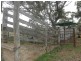” Moolagundi, Mullaley NSW 2379