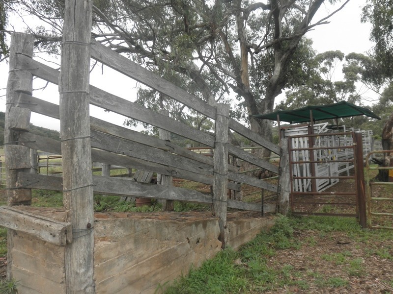 ” Moolagundi, Mullaley NSW 2379