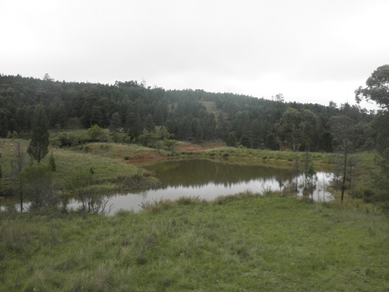” Moolagundi, Mullaley NSW 2379