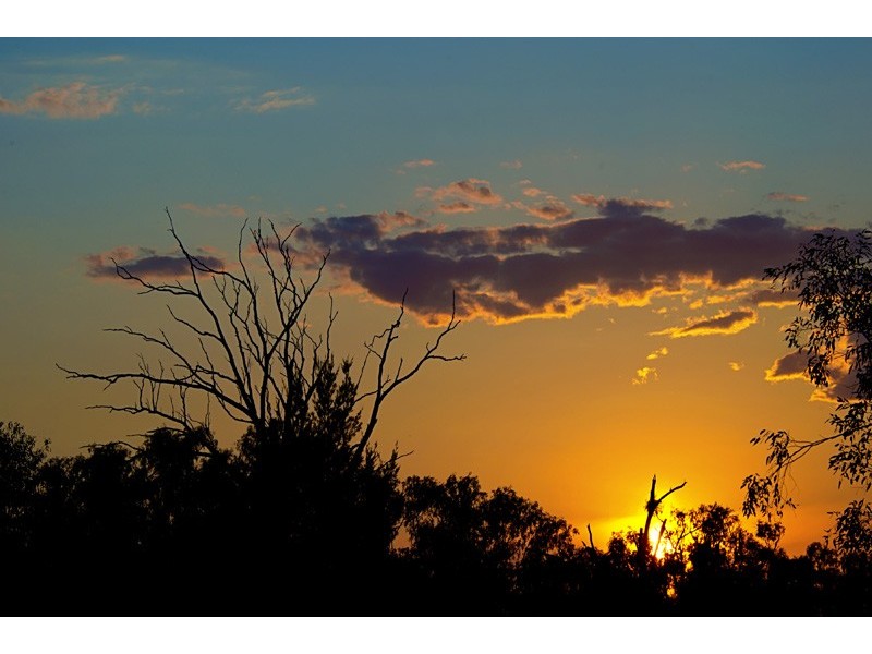 Part 40-48 Wentworth St, Gunnedah NSW 2380