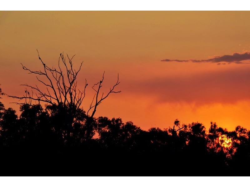 Part 40-48 Wentworth St, Gunnedah NSW 2380