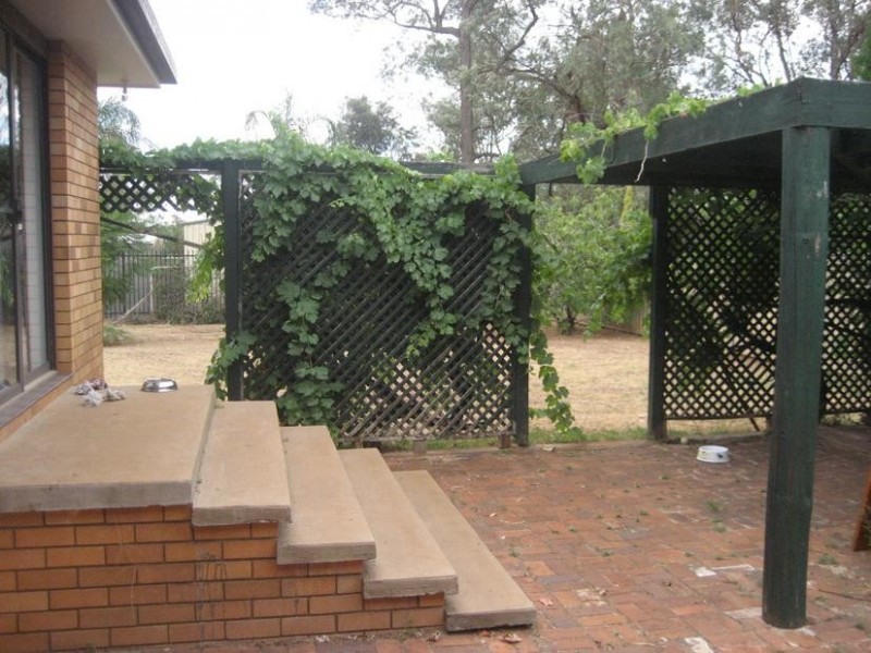 20 Jensen St, Gunnedah NSW 2380