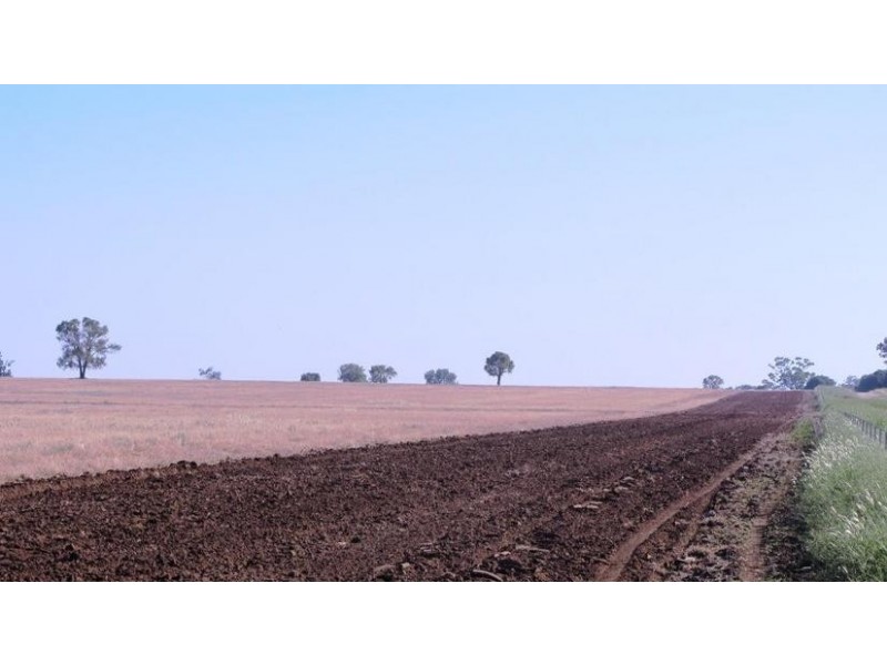 Via Blairmore Rd, Boggabri NSW 2382