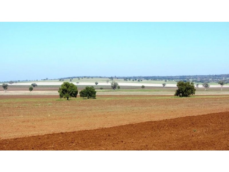 Via Blairmore Rd, Boggabri NSW 2382