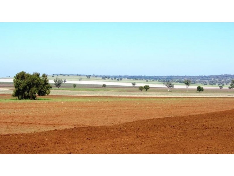 Via Blairmore Rd, Boggabri NSW 2382