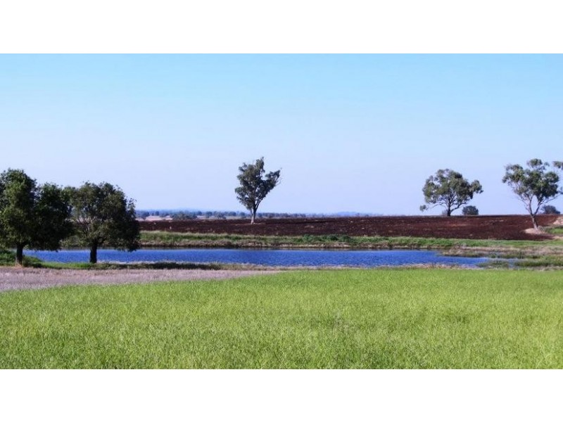Via Blairmore Rd, Boggabri NSW 2382