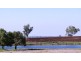 Via Blairmore Rd, Boggabri NSW 2382