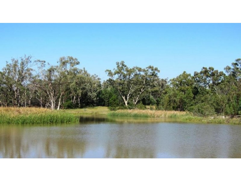 Via Blairmore Rd, Boggabri NSW 2382