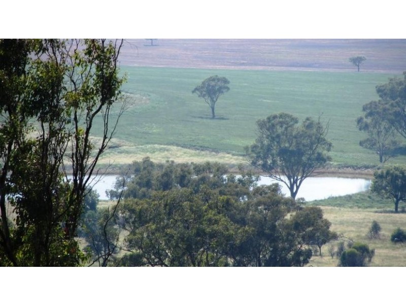 Via Blairmore Rd, Boggabri NSW 2382