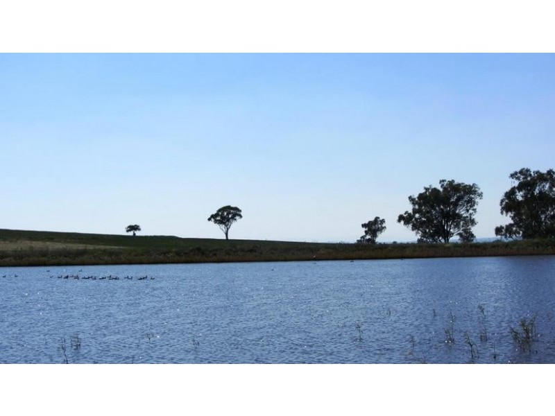 Via Blairmore Rd, Boggabri NSW 2382