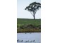 Via Blairmore Rd, Boggabri NSW 2382