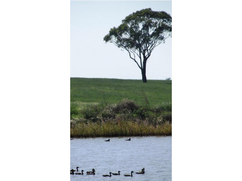 Via Blairmore Rd, Boggabri NSW 2382