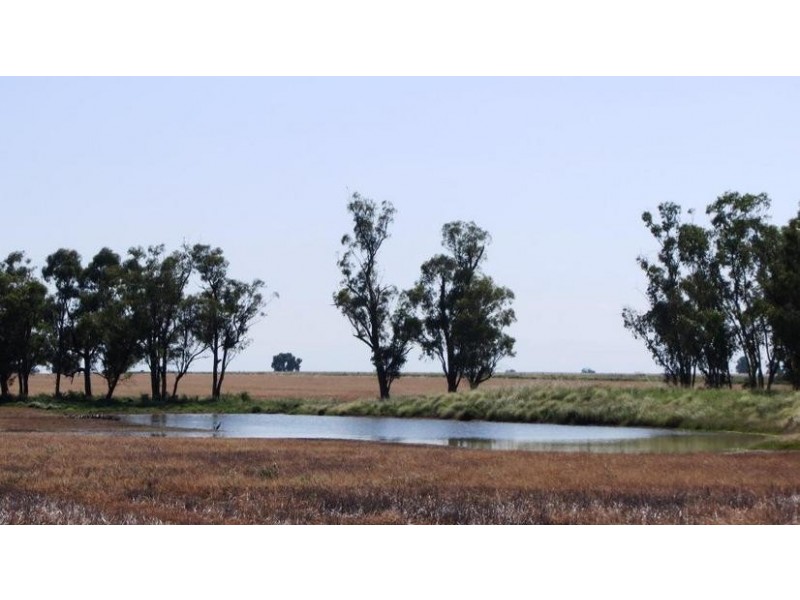 Via Blairmore Rd, Boggabri NSW 2382