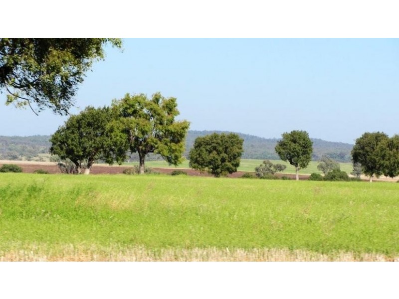 Via Blairmore Rd, Boggabri NSW 2382