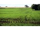 Via Blairmore Road, Boggabri NSW 2382