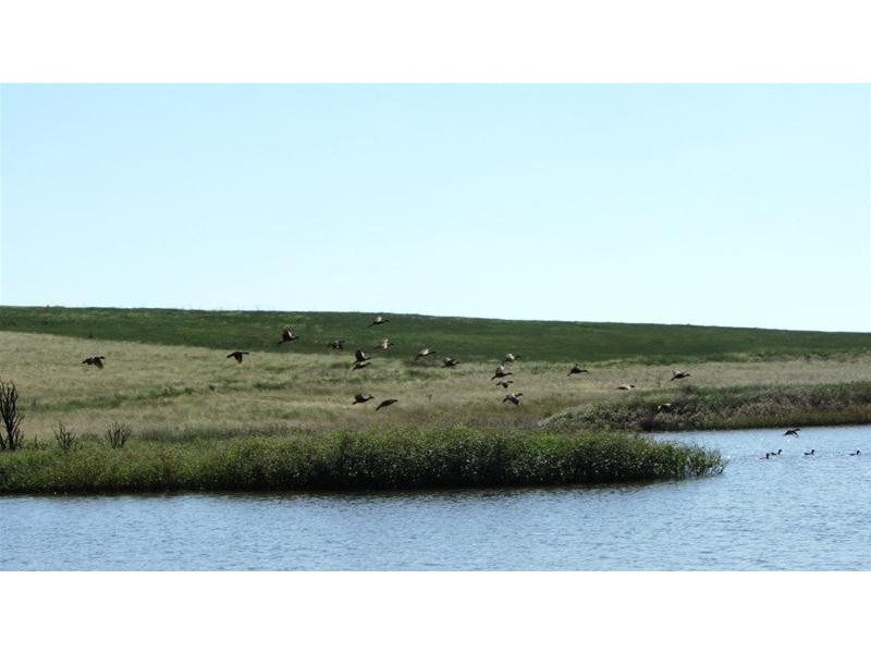 Via Blairmore Road, Boggabri NSW 2382