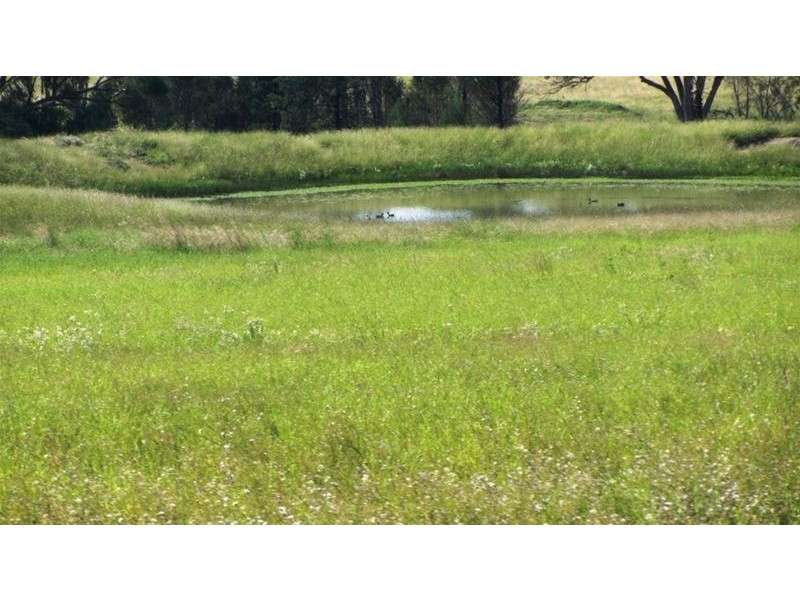Via Blairmore Road, Boggabri NSW 2382