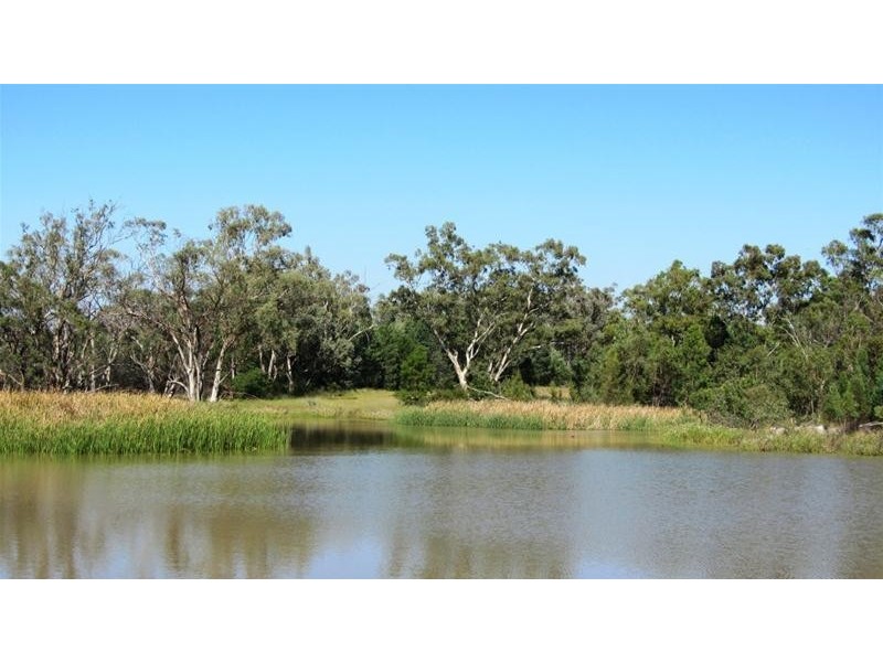 Via Blairmore Road, Boggabri NSW 2382